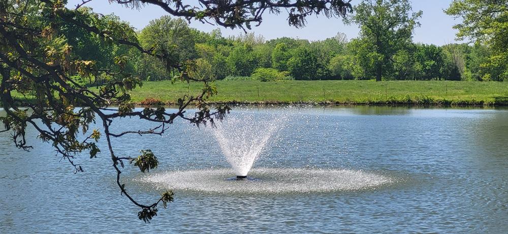 Pocahontas City Park